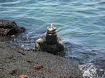 Galapagos (Mar 2009) - Day 09 - 152
